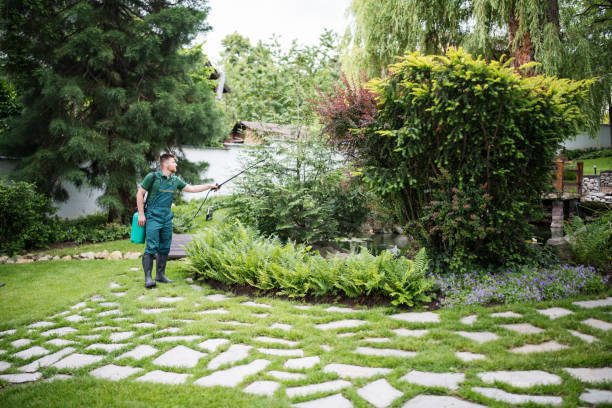 Wasp Removal Services in Boiling Spring Lakes, NC