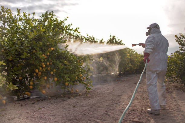 Best Pest Control Near Me  in Boiling Spring Lakes, NC