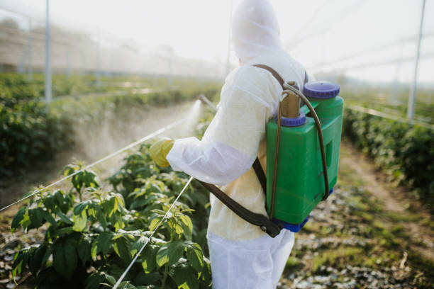 Best Pest Removal Services  in Boiling Spring Lakes, NC